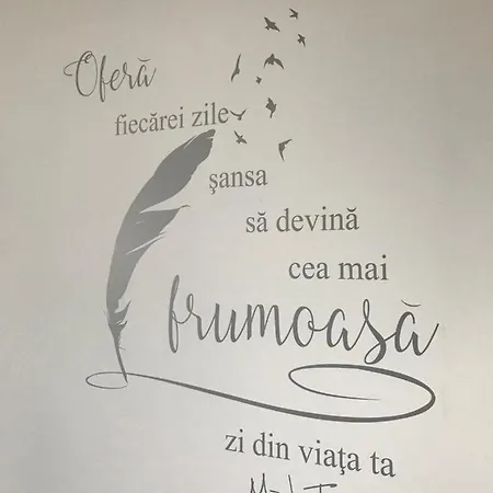 La Belle Vie * Năvodari